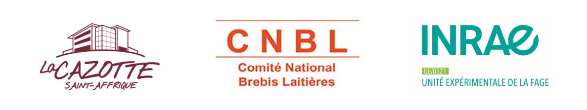 haut de page cazotte.jpg