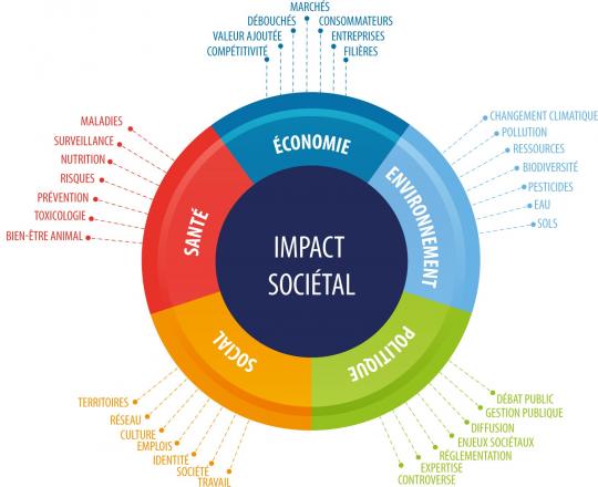 Les 5 impacts