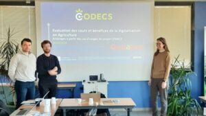 20260320_OL VITI CODECS (3).jpg