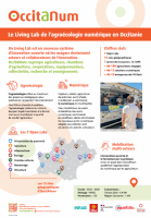 Poster Occitanum 2025