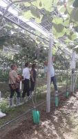 Visite BDT 2