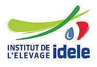 Logo IDELE