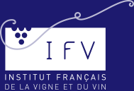 Logo IFV blanc et bleu