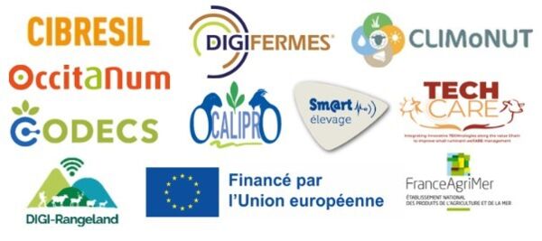 bas de page Cazotte.jpg