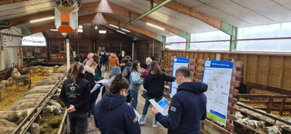 20260213 la cazotte (5).jpg